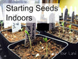 Starting Seeds Inside- Growing Your Own Transplants